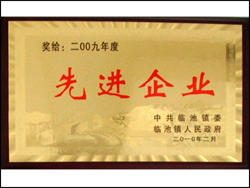 2009年度先进企业