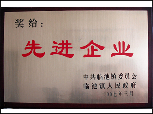 先进企业